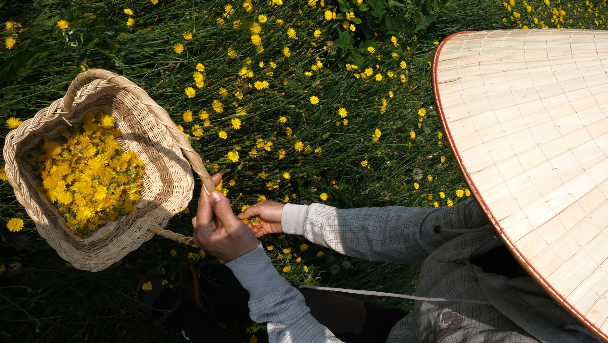 là nhiên, trà, trà thảo mộc, tea, herbal tea