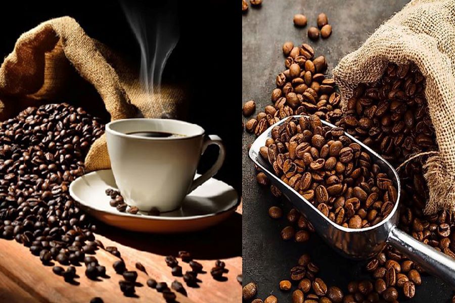 cà phê arabica hay robusta phù hợp hơn cho bạn