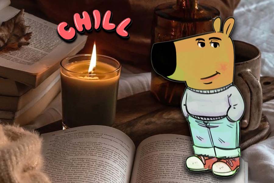 chill guy la gi, co nang thu gian, anh chang thu gian