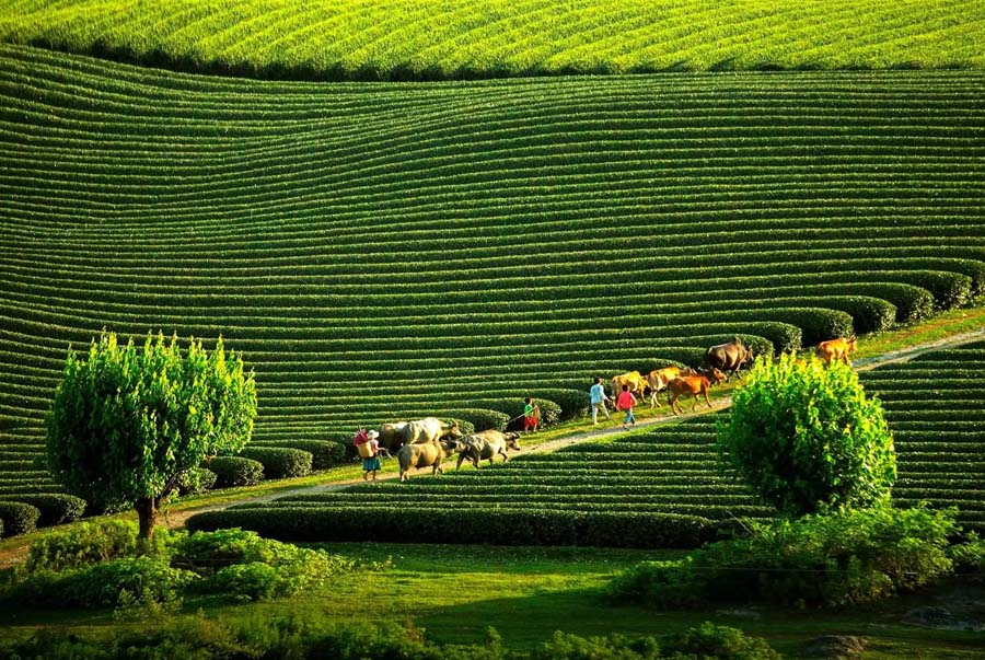 Gợi ý địa điểm đi chơi 30/4 - 1/5 và quà lưu niệm du lịch hay