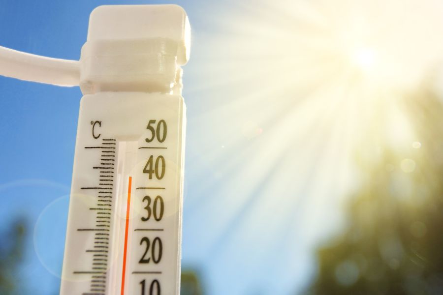 10+ Essential Summer Heat Protection Products for Body & Mind