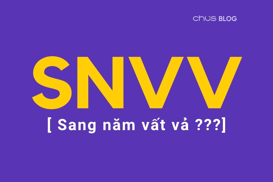 SNVV nghia la gi