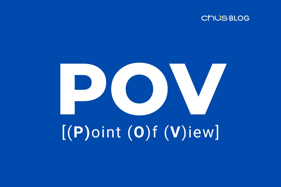 What is POV