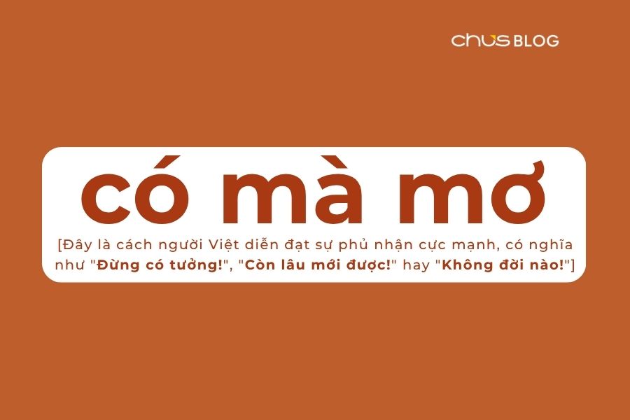 co ma mo la gi