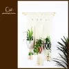 macrame 3 plant holders, creative design, quality and durable, versatile and convenient, creating a green space