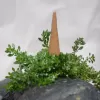agarwood cone incense, cleanses the body and mind, relaxes the mind, sourced from natural origins, ensures quality, suitable for meditation