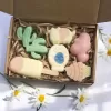 hộp quà xà phòng mini thủ công, lecteur de craft, chushộp quà xà phòng mini thủ công, lecteur de craft, chus