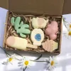 hộp quà xà phòng mini thủ công, lecteur de craft, chushộp quà xà phòng mini thủ công, lecteur de craft, chus