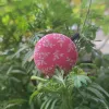 button hair tie, random color, various patterns, durable material, unique large round button design, handmade items