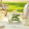 tinh dầu khuếch tán muse, hương thơm nhẹ nhàng, xuất xứ rõ rãng, anh toàn khi sử dụng, quà tặng xinh xắn, tinh dầu thiên nhiên, tinh dầu hoa nén, chus