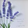 Handmade Paper Flower Painting - Lavender MAYPAPERFLOWER 19x19cm Wooden Frame