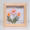 Tranh Hoa Giấy Handmade Trang Trí - Hoa Sao Nhái Maypaperflower Khung Gỗ Size 19 x 19cm