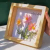 Tranh Hoa Giấy Handmade Trang Trí - Hoa Sao Nhái Maypaperflower Khung Gỗ Size 19 x 19cm