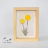 Paper Flower Painting, Billy Ball  MAYPAPERFLOWER Wooden Frame of 15 x 20cm