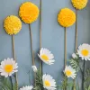Wild Flower Handmade Paper Flower Painting, Maypaperflower - Chus