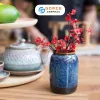Bình Hoa Gốm Sứ Bát Tràng Men Hỏa Biến Kích Thước 7.5 x 11cm Giúp Tôn Vinh Vẻ Đẹp Mọi Loài Hoa Lý Tưởng Để Trang Trí Nội Thất Và Làm Quà Tân Gia