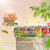 Mantra Kombucha 6-Pack: Customize your flavor, enjoy handcrafted, fermented tea, and boost your health with natural ingredients.