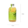 Enjoy the refreshingly tart flavor of Green Apple Kombucha, a naturally fermented tea made with natural ingredients, perfect for supporting your digestive system and a great health gift for loved ones.