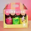 Discover the Set of 6 Olaben Kombucha Bottles, a universe of flavors crafted from fermented tea, packed with natural ingredients, good for your digestive system, and the perfect health gift!