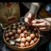 Central Highland Roasted Macadamia Nut (500G) offers a taste of the wild - cracked to perfection, this nutritious and healthy snack makes a delightful Vietnamese gift