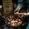 Central Highland Roasted Macadamia Nut (500G) offers a taste of the wild - cracked to perfection, this nutritious and healthy snack makes a delightful Vietnamese gift