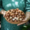 Central Highland Roasted Macadamia Nut (500G) offers a taste of the wild - cracked to perfection, this nutritious and healthy snack makes a delightful Vietnamese gift