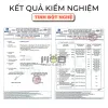 Combo 4 Gói Dùng Thử MOB, bao gồm Mật Ong, Tinh Bột Cần Tây, Tinh Bột Gừng, và Tinh Bột Nghệ, là lựa chọn hoàn hảo để bạn trải nghiệm tinh hoa từ thiên nhiên và trở thành quà tặng sức khỏe ý nghĩa cho người thân yêuCombo 4 Gói Dùng Thử MOB, bao gồm Mật Ong, Tinh Bột Cần Tây, Tinh Bột Gừng, và Tinh Bột Nghệ, là lựa chọn hoàn hảo để bạn trải nghiệm tinh hoa từ thiên nhiên và trở thành quà tặng sức khỏe ý nghĩa cho người thân yêu