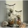 The Flying Jellyfish Jar is a creatively shaped seashell jar, a mesmerizing DIY artwork in glass, bringing the ocean home - a perfect artistic decoration and gift for her.