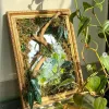 The Preserved Moss Art Frame with driftwood and mirror captures timeless beauty - a unique handcrafted art piece and an artistic gift perfect for her