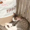 Túi tote thêu tên hoặc hình ảnh theo yêu cầu thể hiện trọn vẹn phong cách cá nhân, túi canvas phối cói có khóa kéo làm quà tặng cá nhân hóa và quà sinh nhật độc đáo.