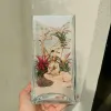 Cây không khí Tượng Phật mang đến sự bình yên cho góc phòng, dễ chăm sóc và thích hợp làm quà tặng phong thủy hay quà lưu niệm Việt Nam.