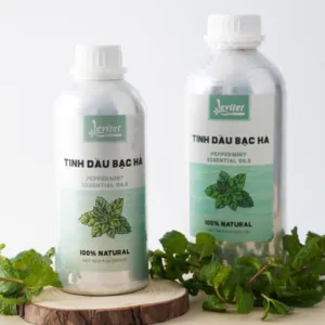 tinh dầu bạc hà nguyên chất premium, hương thơm the mát, phương pháp trị liệu mùi hương, thanh lọc không khí, bảo vệ sức khoẻ, tinh dầu thiên nhiên, om fountain, chus