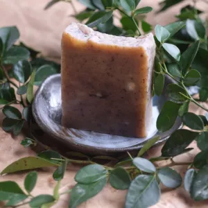 tea tree soap, mild fragrance, excellent antibacterial properties, helps treat acne, nourishes the skin, gentle and natural soap