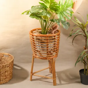 giá đỡ tre để cây cảnh, size lớn, the goods, chus