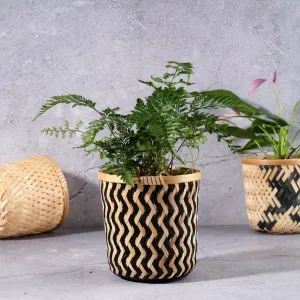 bamboo plant basket, simple design, modest decorative piece, tabletop plant accent, sturdy and thick product
