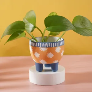 chậu sen đá gốm sứ có chân, chất liệu gốm sứ bát tràng, hoạ tiết vẽ tay tỉ mỉ, trang trí bàn học xinh xắn