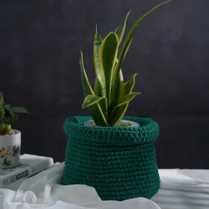green crochet cotton basket, refreshing green handmade basket, storing miscellaneous items, wraps around plant pots
