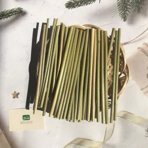 grass straws, 500 pieces, alternative to plastic straws, natural material, easily biodegradable, environmentally friendly, green lifestyle