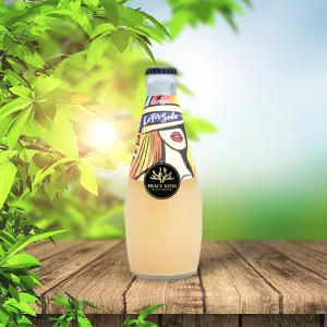 ginger kefir soda, fermented drink, probiotic drink, good for digestion, natural ingredients, fresh local ingredients