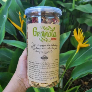 granola dinh dưỡng không đường, ngũ cốc mật ong, granola mix trái cây sấy, ngũ cốc yến mạch, bữa sáng tiện lợi