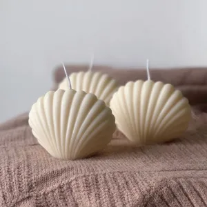 seashell handmade scented candle - ấm corner, unique design, pure natural ingredients, handmade scented candle, refreshes living space