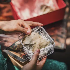 Raw Bird's Nest from House Farm, a luxurious health gift, preserves the essence of a precious offering, making it an easy-to-prepare and nutritious farmed bird's nest for health-conscious individuals