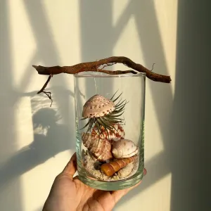 The Flying Jellyfish Jar is a creatively shaped seashell jar, a mesmerizing DIY artwork in glass, bringing the ocean home - a perfect artistic decoration and gift for her.