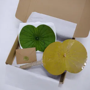 "Hidden Purity" gift set – serene lotus in the water with lotus leaf fan and tote bag, a handmade Vietnamese souvenir and meaningful gift for foreigners