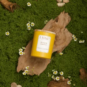 Set quà tặng nến thơm Tranquil Essence hương thiền thư giãn, nến thơm sáp thiên nhiên hương thơm tinh tế quà sinh nhật tân gia sang trọng
