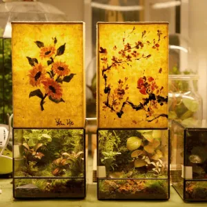 Đèn trang trí "Terra Light" với lọ tiểu cảnh thủy tinh kết hợp ánh sáng ấm áp, mang đến không gian hài hòa giữa cỏ cây và ánh sáng, thích hợp làm quà lưu niệm hay quà sinh nhật.