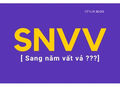 SNVV nghia la gi