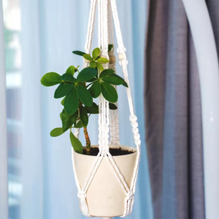 dây treo chậu cây macrame, dễ dàng vệ sinh, có thể giặt máy, độ bền cao, phụ kiện trang trí không gian thêm xanh