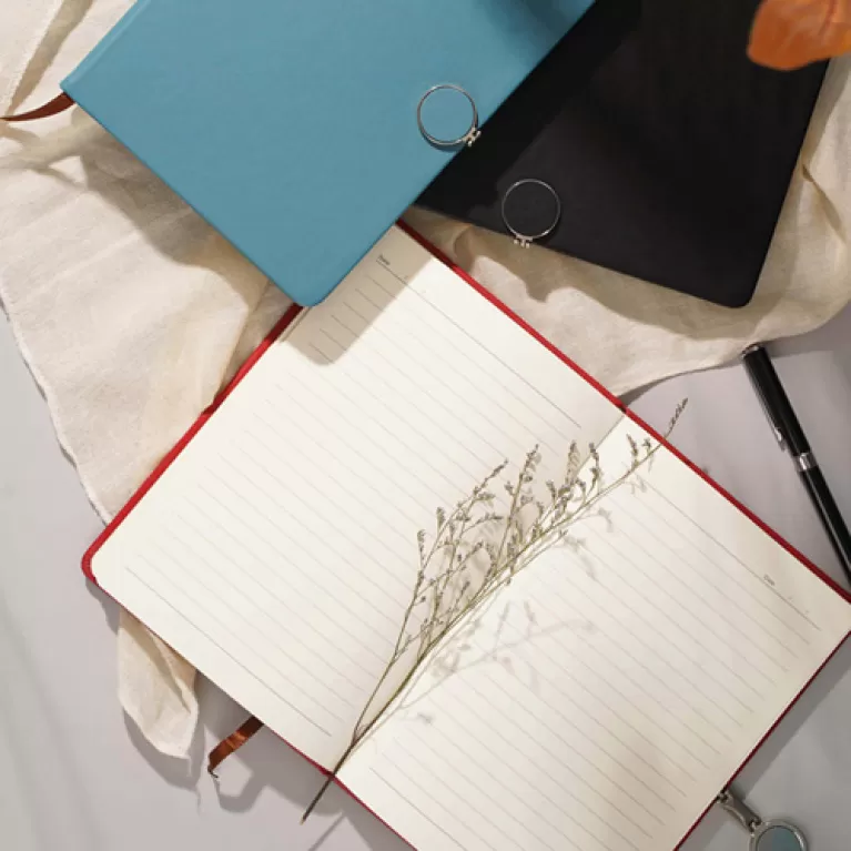 magnetic lock minimalist notebook, elegant design, unique magnetic button, high quality paper, lined paper