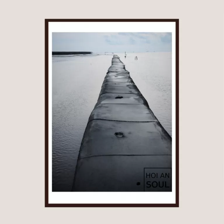 “the path” photograph, taken from nha mat beach in bac lieu, capturing tranquil seaside scenery, depicting the beauty of nature